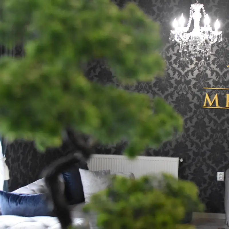 Moderné Vybavenie – M Royal Barbershop